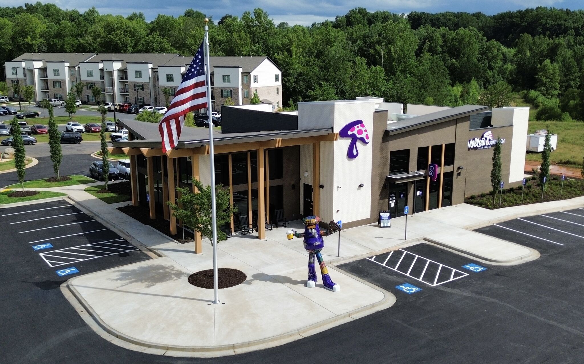 Mellow Mushroom - Summit Construction